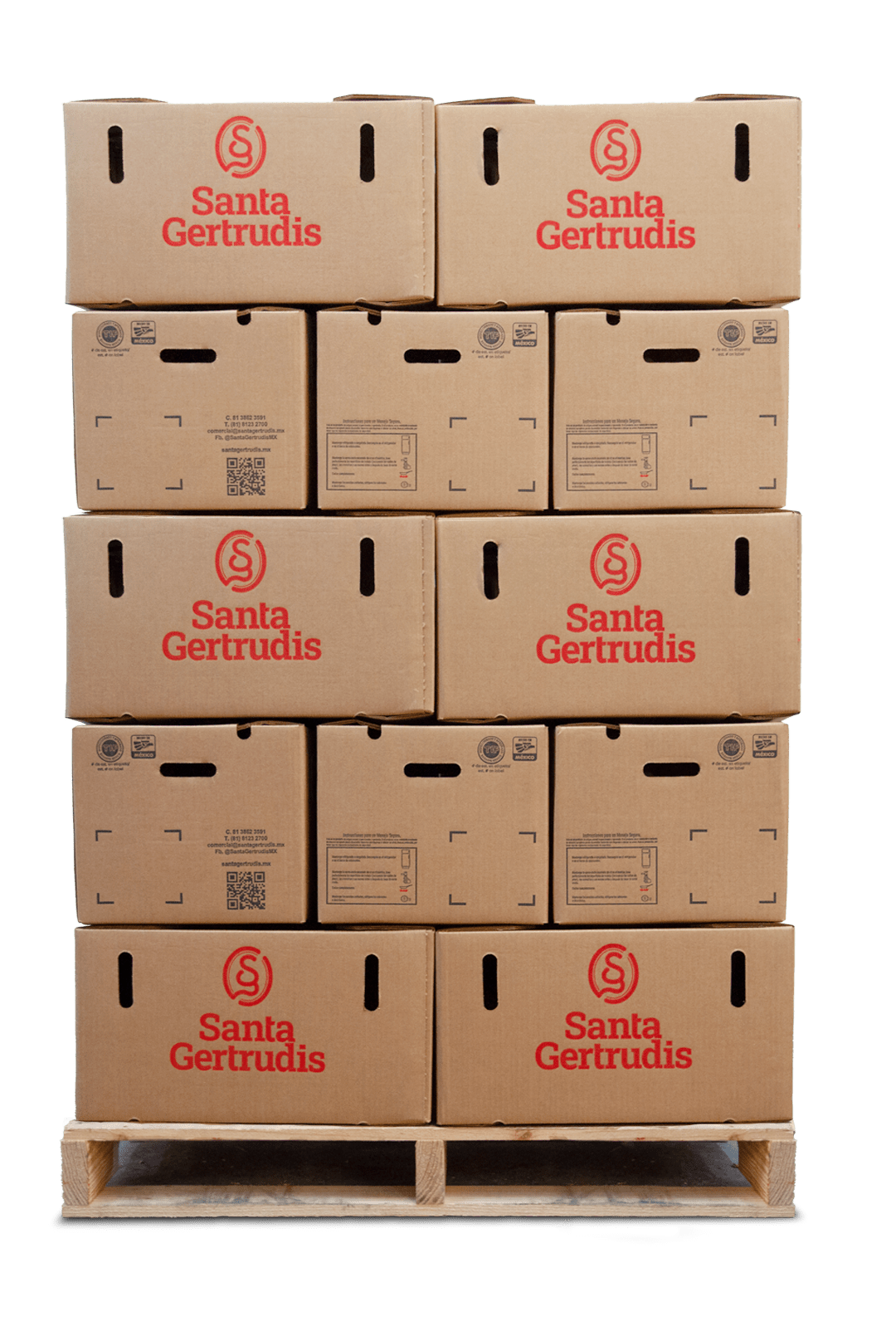 Cajas Vísceras de Res Santa Gertrudis