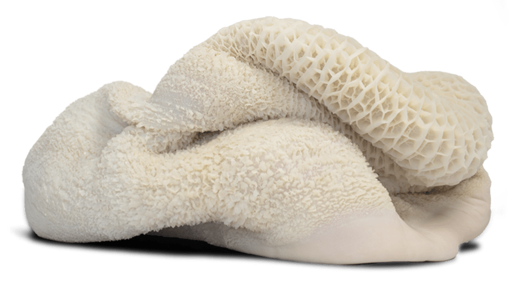 Vísceras de Res - Santa Gertrudis